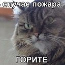 ���� ����, �������, 35 ��� - ��������� 1 ������� 2014 � ������ ���� ����������