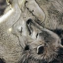 �� ������ ������� � ��������, ������ ������� � ���. �� ������� ������