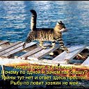 ���� ����, ����� - ��������� 26 ������� 2013 � ������ �� �����