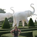  , -, 50  -  11  2014    2013