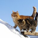 ���� ���-��-���, �����-���������, 59 ��� - ��������� 11 ������� 2013 � ������ ������ ��������