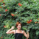 ���� �������, ��������������, 55 ��� - ��������� 18 ������� 2013