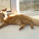 � ����� ������ ����, ������ ��� ��� - ������� ��������!!!! ���� ������������ ���, ������ ���������� ������ ���. �� ������� ����� ��� ������������