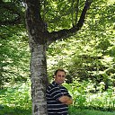 ���� Zoxrab, ����, 51 ��� - ��������� 10 �������� 2013 � ������ ���� ����������