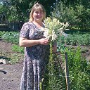 ���� * � * � * � * � * � * � *, ������� - ��������� 24 ������ 2014