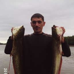 �������, ���������, 50 ���