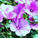 ���� ������� �., ����� - ��������� 22 ������� 2013 � ������ �������