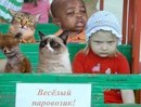 ���� �������, ������, 71 ��� - ��������� 26 ������� 2014