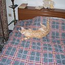 ��� ������? �� ������� ���� �������� � ������ �����...�