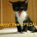 ���� ��������, ��������� - ��������� 4 ������� 2013 � ������ ������ ��������