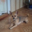 Ÿ ������ ���(( �� ������� ������ ��������