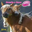 ���� ����, ������������, 49 ��� - ��������� 30 ������� 2013 � ������ ���� ����������