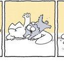 ���� �����, ������-��-����, 26 ��� - ��������� 17 ������� 2013 � ������ ���� ����������