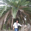 ���� ������, ������, 38 ��� - ��������� 7 ������ 2014 � ������ ���� ����������