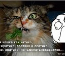 ���� ����, ������, 43 ���� - ��������� 10 ������ 2013 � ������ ���� ����������