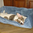 ���� ����, ������, 47 ��� - ��������� 3 ������� 2014 � ������ ���� ����������