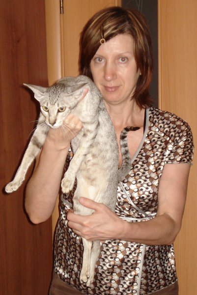 : : .   ! - kotka, 61 , 