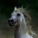 ���� Bulat, ������� - ��������� 19 ������� 2014 � ������ ���� ����������