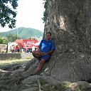 ���� ����, ��������, 61 ��� - ��������� 11 ������ 2014 � ������ ���� ����������