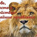 ���� Zoro, ��������, 53 ���� - ��������� 31 ������ 2014 � ������ �������