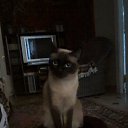 ���� ���������, ������, 54 ���� - ��������� 26 ������� 2013 � ������ ���� ����������
