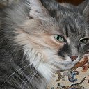 ���� ������!!! ����, ������ - ��������� 12 ����� 2014 � ������ ���� ����������