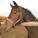 ���� �������, ����� - ��������� 28 ������ 2014 � ������ ���� ����������