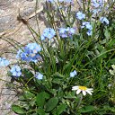 ������ �������� ������ 2277� �� ������� ���� ����������