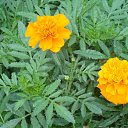 ������� � ����! �� ������� ����� ��� ������������