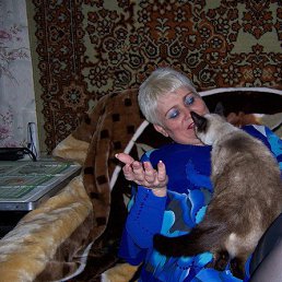 �������, ��������-��-������, 67 ���