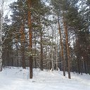  ,  -  5  2014    2014