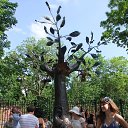 ���� ���������, ������������ - ��������� 1 �������� 2013 � ������ ���� ����������