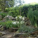 ���� ������, �����-���������, 61 ��� - ��������� 10 ����� 2014 � ������ ���������, ������ 2010�