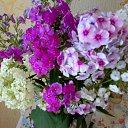 ������ ����� � 9 �� ������� ���� �� ����