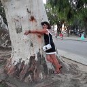 ���� ������, ����������� - ��������� 1 �������� 2013 � ������ ���� ����������