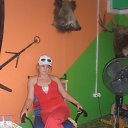 ���� ��������, ����� - ��������� 1 �������� 2013 � ������ ���� ����������