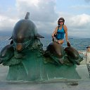 ���� �������, ������������, 42 ���� - ��������� 29 �������� 2013 � ������ ���� ����������