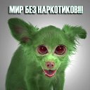 ���� �����, �����, 60 ��� - ��������� 20 ������� 2014 � ������ ���� �������� ��������