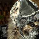 ���� ���������. �� ������� ���� ����������