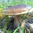 ���� ���������- ���� �������� !!, ������ - ��������� 19 �������� 2013 � ������ ������ ����� !!! 18.09.2013 � !!!�