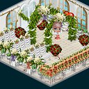 ���� ���������, ������, 29 ��� - ��������� 8 ������ 2013 � ������ �Tropikania�