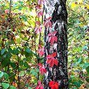 ���� �����, �����, 64 ���� - ��������� 30 ������ 2013 � ������ ��Ψ�