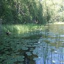 ���� �������, ������, 48 ��� - ��������� 27 ������� 2013 � ������ ���� ����������