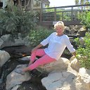 �������� ����, ������� 2013 �� ������� ���� ����������