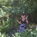 ���� ����, ����, 60 ��� - ��������� 22 ������� 2013 � ������ ���� ����������