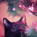 ���� ����, ������, 56 ��� - ��������� 10 ������� 2013 � ������ ������ ��������