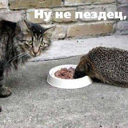 ���� ���� ���������, ������, 39 ��� - ��������� 18 ������ 2014