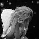 ���� �����, ������, 41 ��� - ��������� 16 ������� 2013 � ������ ���� ����������