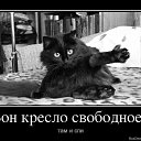 ���� ����, ������, 43 ���� - ��������� 10 ������ 2013 � ������ ���� ����������