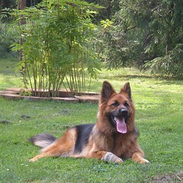 Natalja, ������, 53 ����